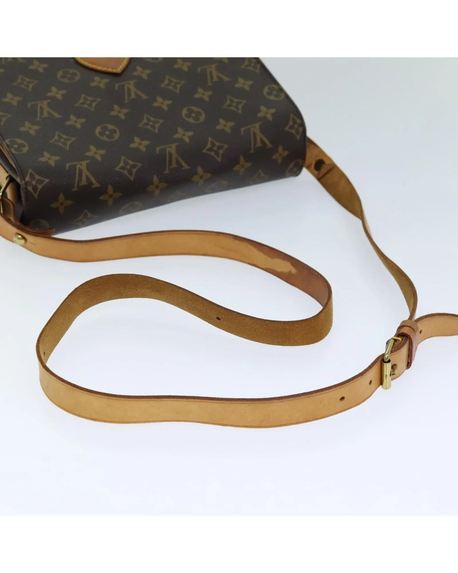 Monogram Canvas Cartouchiere Shoulder Bag