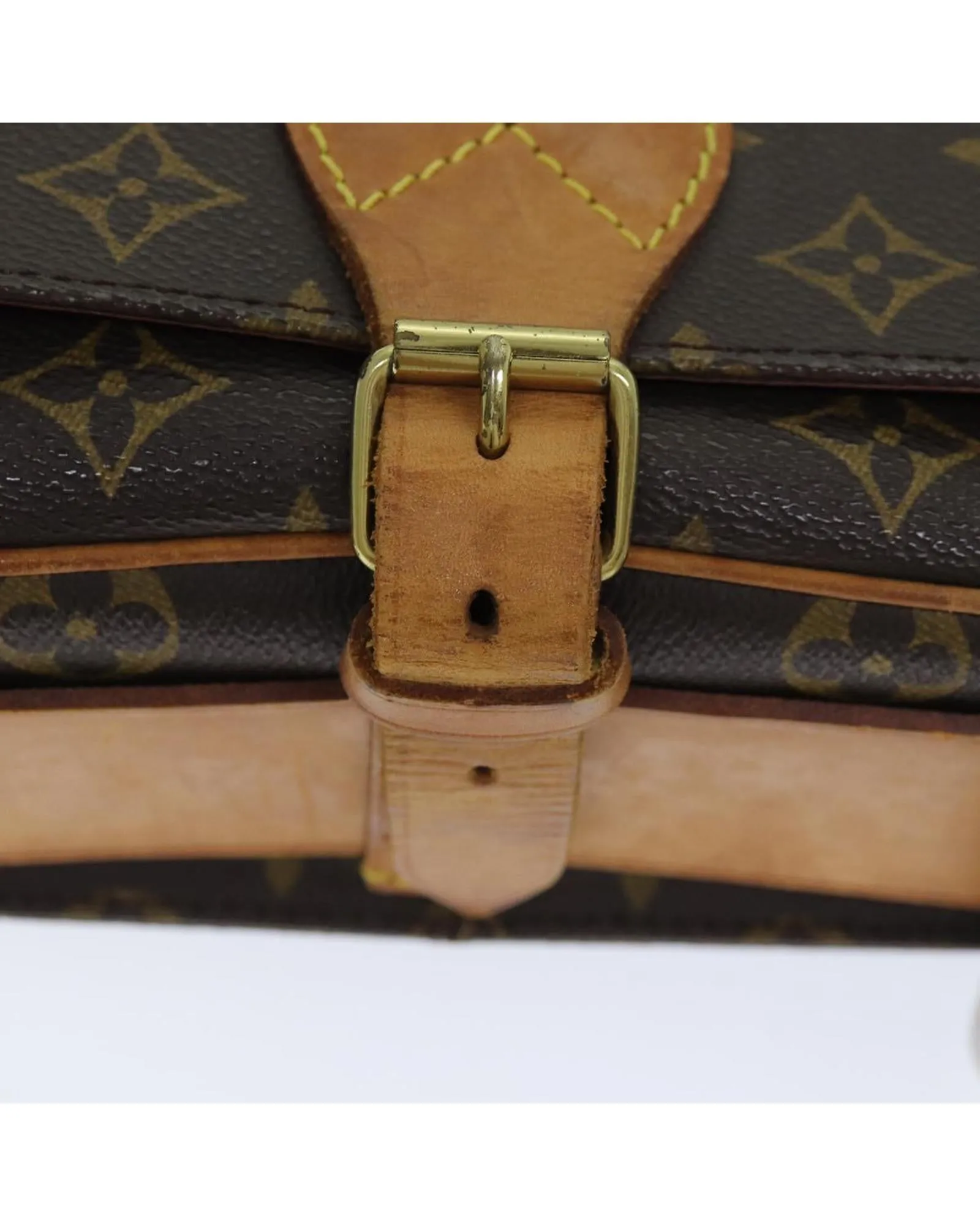 Monogram Canvas Cartouchiere Shoulder Bag