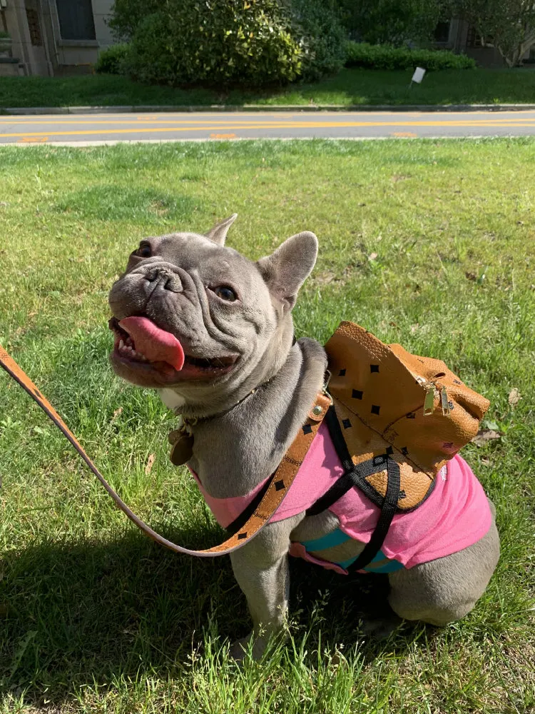 pets accessories