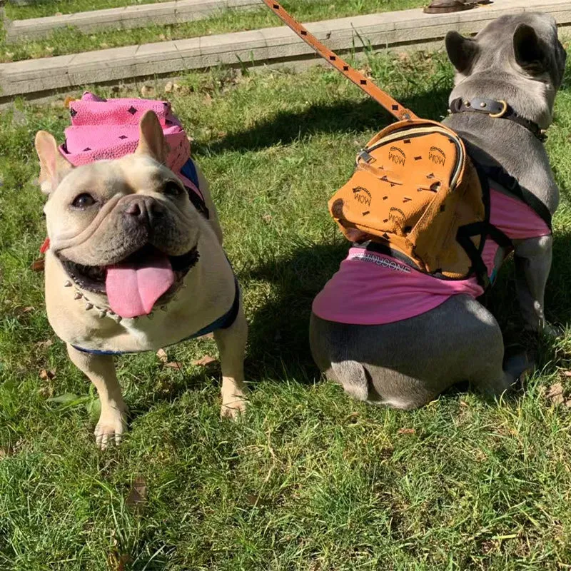 pets accessories