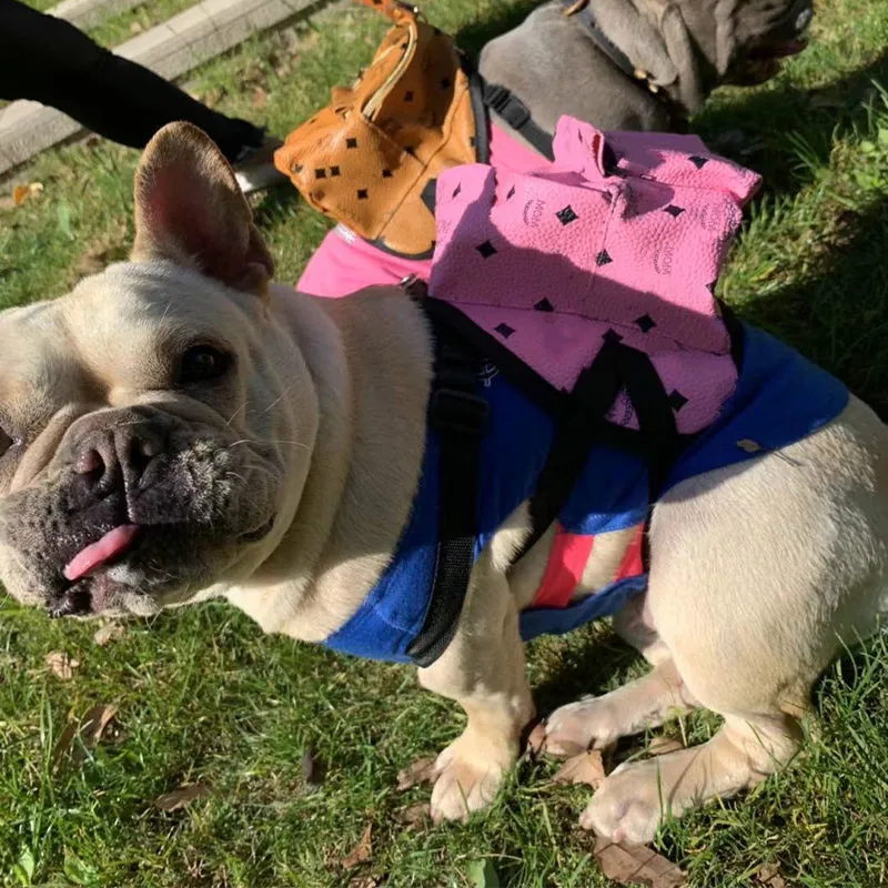pets accessories